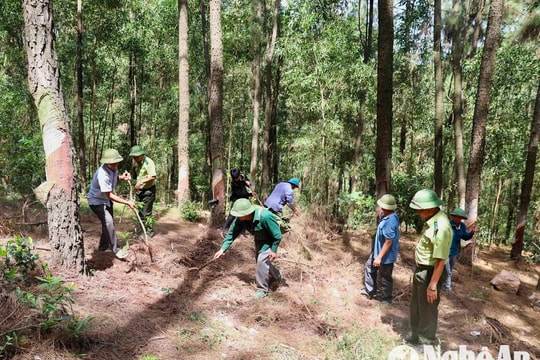 Nghệ An 'kích hoạt' nhiều phương án phòng, chống cháy rừng