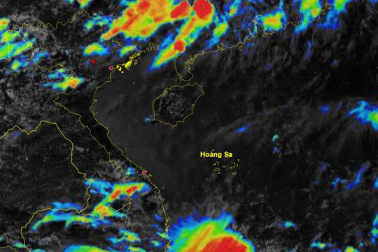Nghệ An chủ động ứng phó với áp thấp có khả năng mạnh lên thành bão