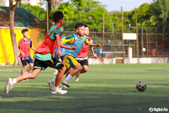 30 cầu thủ Cúp Báo Nghệ An tham gia tuyển chọn tại Sông Lam Nghệ An