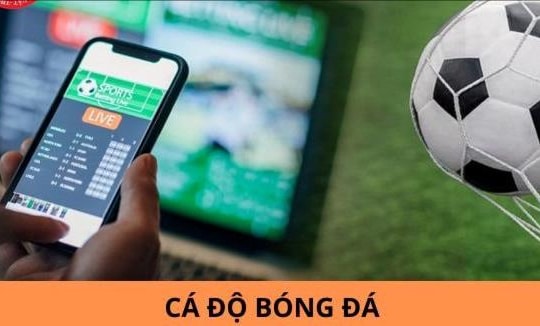 Cá độ bóng đá có bị truy cứu trách nhiệm hình sự không?