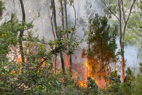 Dập tắt vụ cháy rừng trong đêm ở Quỳnh Lưu
