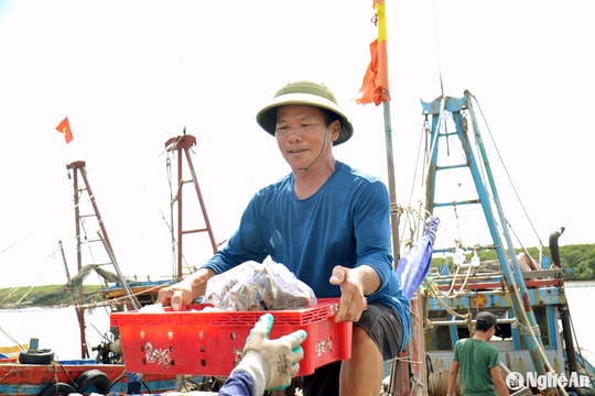 Ngư dân Nghệ An bám biển thu về hơn 2 nghìn tỷ đồng