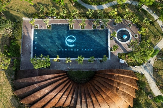 Đi tìm 'kình ngư nhí' xứ Nghệ tại giải bơi 'Chinh phục đường đua xanh cùng Eco Central Park'