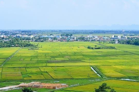 Khẩn trương hoàn thiện 4 dự thảo Nghị định liên quan đến đất đai