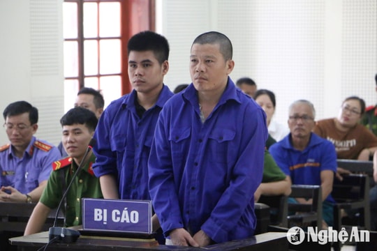 Tuyên án người vận chuyển xe gỗ trắc và vảy tê tê trị giá hàng chục tỷ đồng