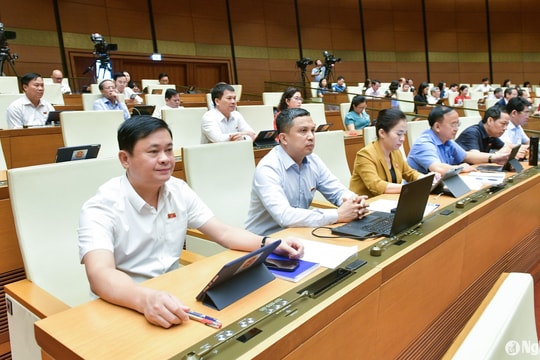 Quốc hội chốt quy định người vi phạm giao thông sẽ bị trừ điểm giấy phép lái xe