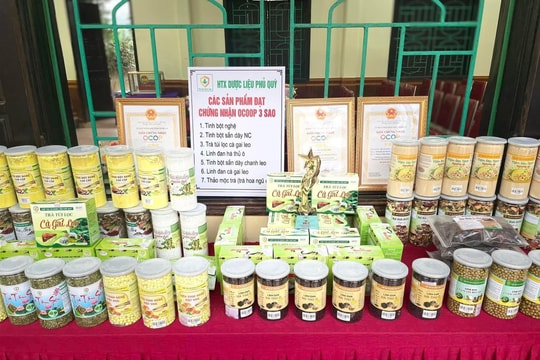 Tăng cường xúc tiến, tìm đầu ra cho sản phẩm OCOP