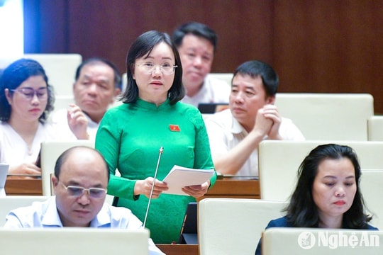 Đại biểu Quốc hội đoàn Nghệ An thảo luận về dự án Luật Quy hoạch đô thị và quy hoạch nông thôn