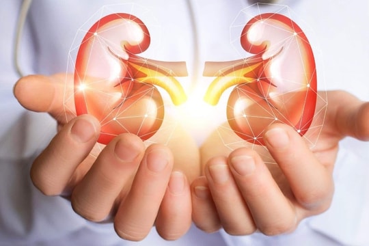 Những việc cần làm ngay để bảo vệ thận