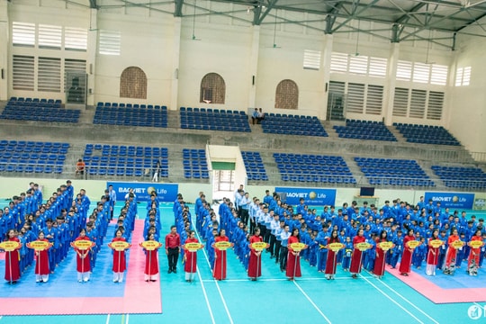 Gần 300 võ sinh tranh tài tại Giải vô địch các câu lạc bộ Vovinam tỉnh Nghệ An năm 2024