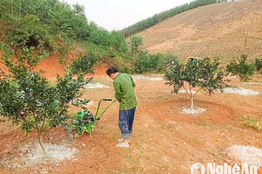 Nông dân Nghệ An tìm cách ứng phó linh hoạt khi nắng nóng cao điểm kéo dài