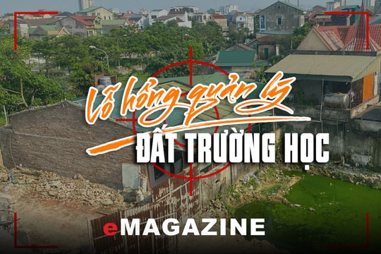 Kỳ 3: Nhà trường gặp khó vì giáo viên không chịu trả nhà tập thể