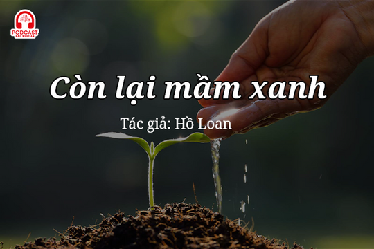 Đọc truyện đêm khuya: Còn lại mầm xanh