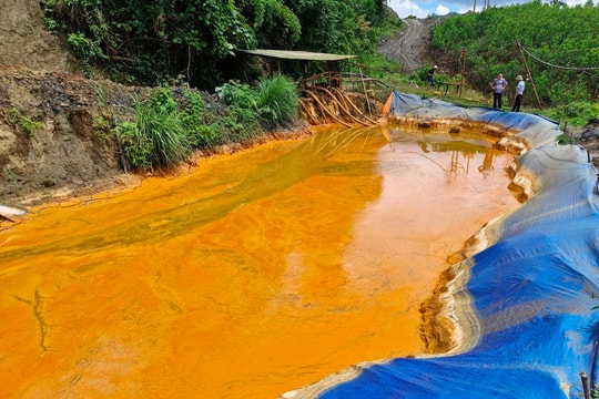 UBND tỉnh chỉ đạo kiểm tra, báo cáo vụ cá chết bất thường trên suối Nậm Huống (Quỳ Hợp) trước ngày 10/7