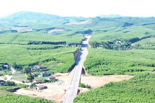 Flycam tuyến đường 'kết nối biển và rừng' tuyệt đẹp ở Nghệ An