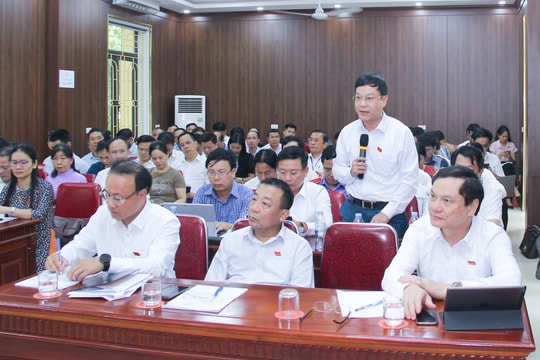 Đại biểu HĐND tỉnh nêu những vấn đề đã tồn tại nhiều năm