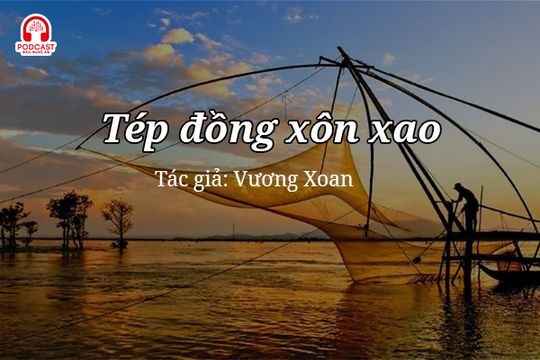 Tản văn hay: Tép đồng xôn xao