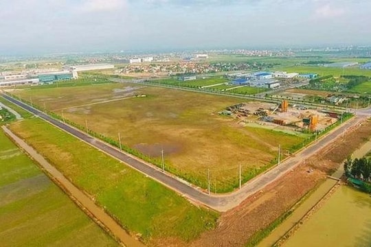 Quy định về đất nông nghiệp do tổ chức, người gốc Việt Nam định cư ở nước ngoài sử dụng