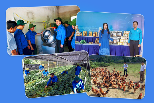 Những bước chuyển của lực lượng Thanh niên xung phong trong tình hình mới