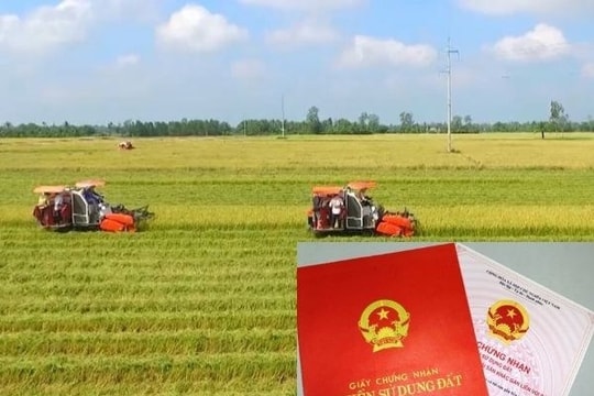 Quy định về bồi thường khi Nhà nước thu hồi đất nông nghiệp của hộ gia đình, cá nhân