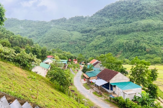 Các hành vi nào bị nghiêm cấm khi tham gia giao dịch trong lĩnh vực đất đai?