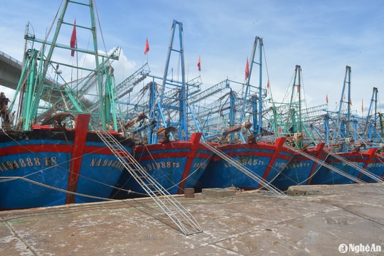 Tàu thuyền Nghệ An chật vật tìm nơi neo đậu mùa mưa bão
