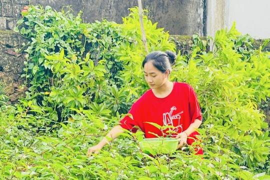 Nữ sinh nghèo chia sẻ bí quyết vượt khó đạt 29 điểm khối C