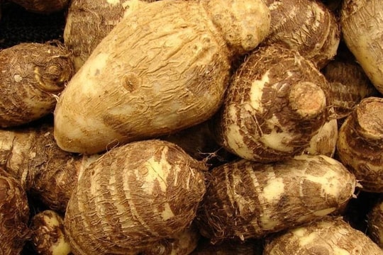 Lợi ích sức khỏe của củ khoai sọ