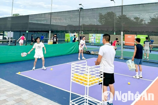 Sức hút của môn thể thao mới Pickleball ở Nghệ An
