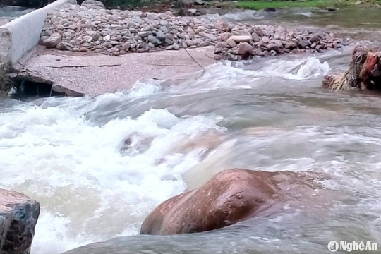 Nguy cơ mưa lũ, sạt lở đất ở Nghệ An do ảnh hưởng bão số 2