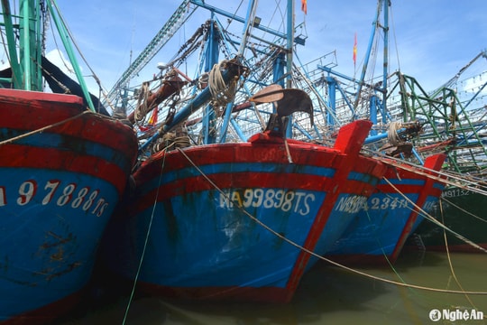 Ngư dân Nghệ An chủ động tránh trú bão số 2