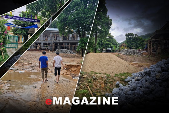 Mua củi, chở lên rừng...