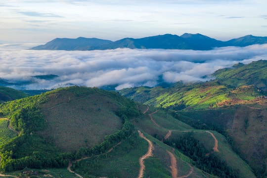Những câu chuyện tháng Bảy
