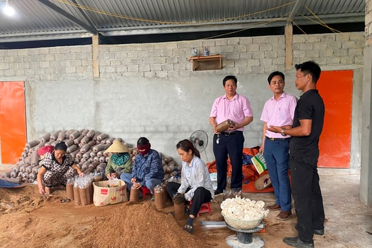 Tín dụng chính sách tạo 'đòn bẩy' giải quyết việc làm ở Nghệ An