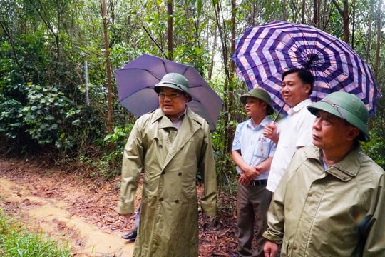 Phó Chủ tịch UBND tỉnh kiểm tra tình hình sản xuất nông nghiệp
