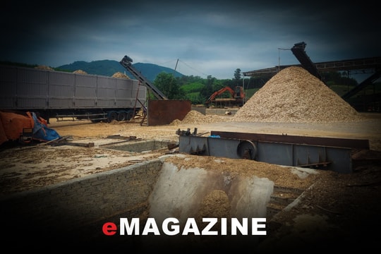 Sớm lập lại trật tự ngành gỗ dăm