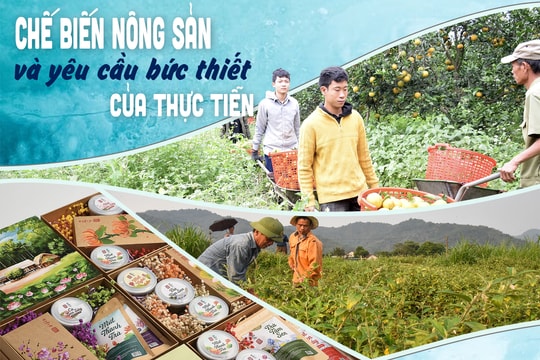Bài 2: Kết nối sản xuất và tiêu thụ, thúc đẩy chế biến tăng giá trị nông sản