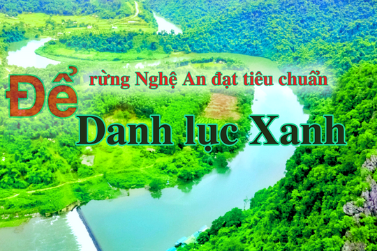 Để rừng Nghệ An đạt tiêu chuẩn Danh lục Xanh