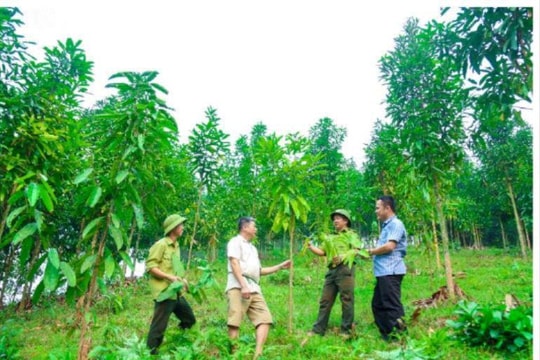 Đối tượng nào được Nhà nước giao đất rừng sản xuất không thu tiền sử dụng đất?