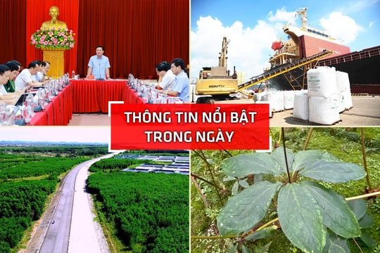 Nghệ An: Thông tin nổi bật ngày 29/7