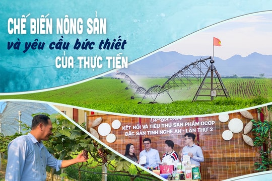 Bài cuối: Phát triển nông nghiệp hữu cơ gắn đẩy mạnh chuyển đổi số