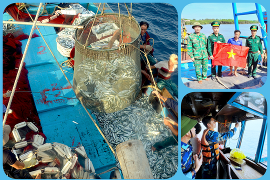 Bộ đội Biên phòng Nghệ An phát hiện, tham mưu xử lý nhiều vi phạm về khai thác IUU