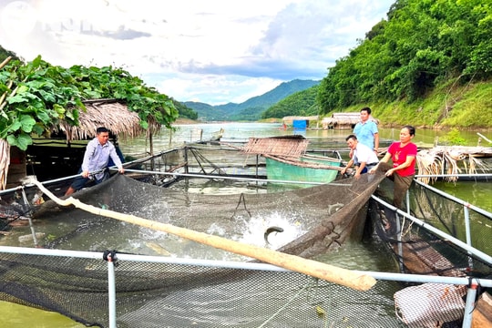 Quy định về việc sử dụng đất có mặt nước là ao, hồ, đầm