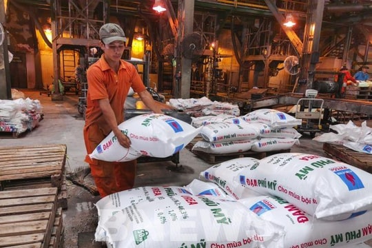 Giá phân bón hôm nay 3/8: Giá phân Lâm Thao, phân Ure, phân NPK, phân Kali toàn quốc