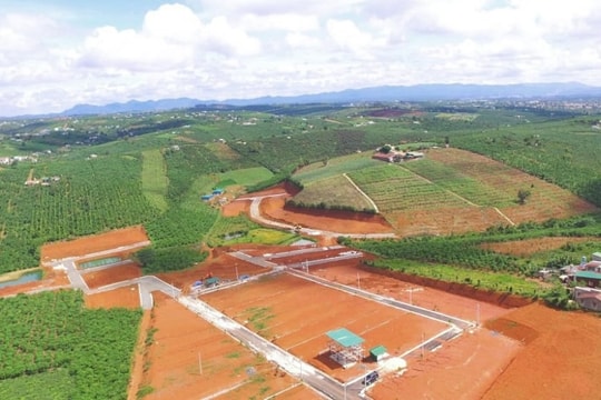 Căn cứ để giao đất, cho thuê đất, cho phép chuyển mục đích sử dụng đất