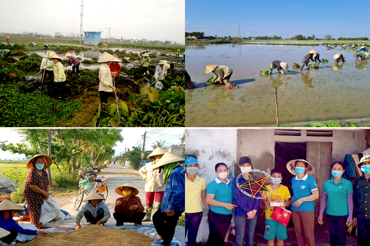 Phụ nữ Quỳnh Lưu gây quỹ từ ruộng bỏ hoang