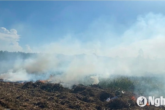 Khói bụi mù mịt do đốt thực bì trồng dứa ở huyện Quỳnh Lưu