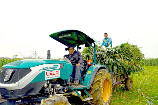 Quy định về đất bãi bồi ven sông, ven biển