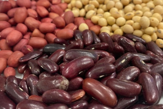 Những thay đổi nhỏ trong cuộc sống giúp bạn kéo dài tuổi thọ