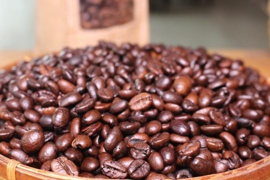 Giá cà phê hôm nay 11/8: Giá cà phê giảm 3.000 đồng/kg